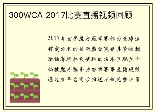 300WCA 2017比赛直播视频回顾